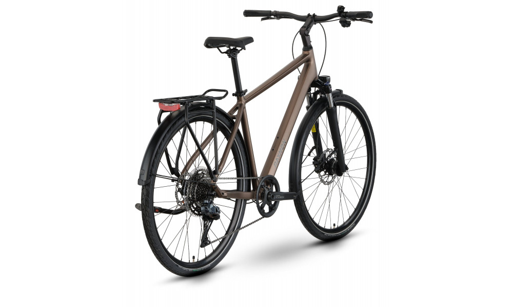 Polkupyörä Raymon Zayn Auto 2026 mushroom - 2