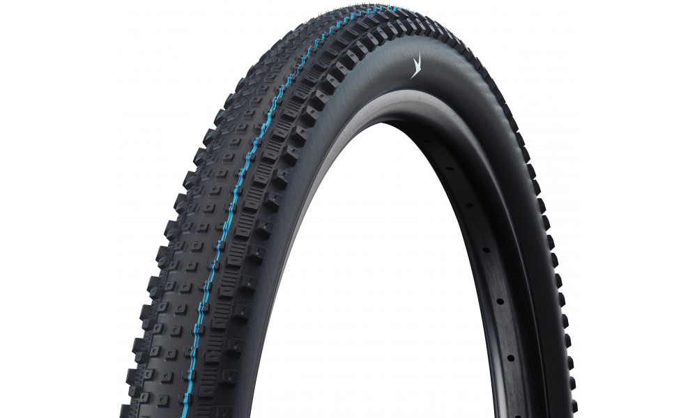 Rengas 29" Schwalbe Rick HS635 Evo Fold TLR 62-622 / 29x2.40 XC Pro 