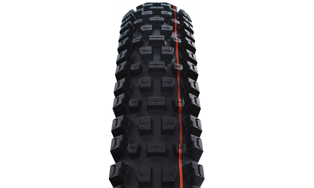 Rengas 29" Schwalbe Albert HS641 Evo Fold TLR 63-622 / 29x2.50 Gravity Pro - 2