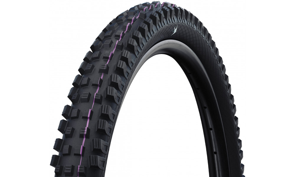 Rengas 29" Schwalbe Magic Mary HS447 Evo Fold TLR 63-622 / 29x2.50 Gravity Pro 