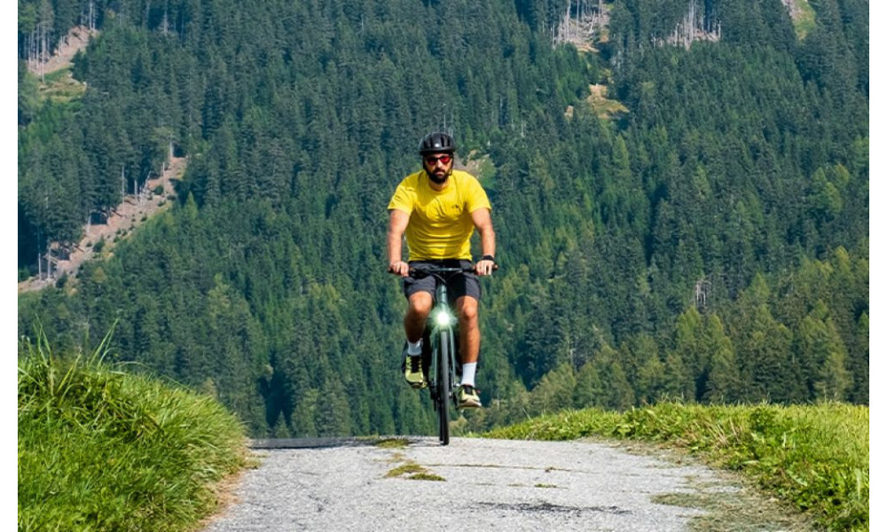 Satula Selle Royal Respiro Moderate RoyalGel - 8