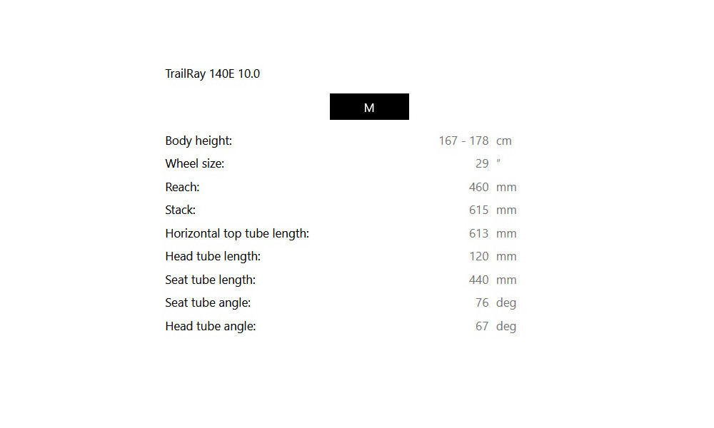 Sähköpyörä Raymon TrailRay 140E 10.0 29" grey black-white - 2