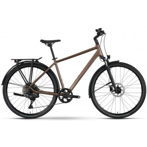 Polkupyörä Raymon Zayn Auto 2026 mushroom