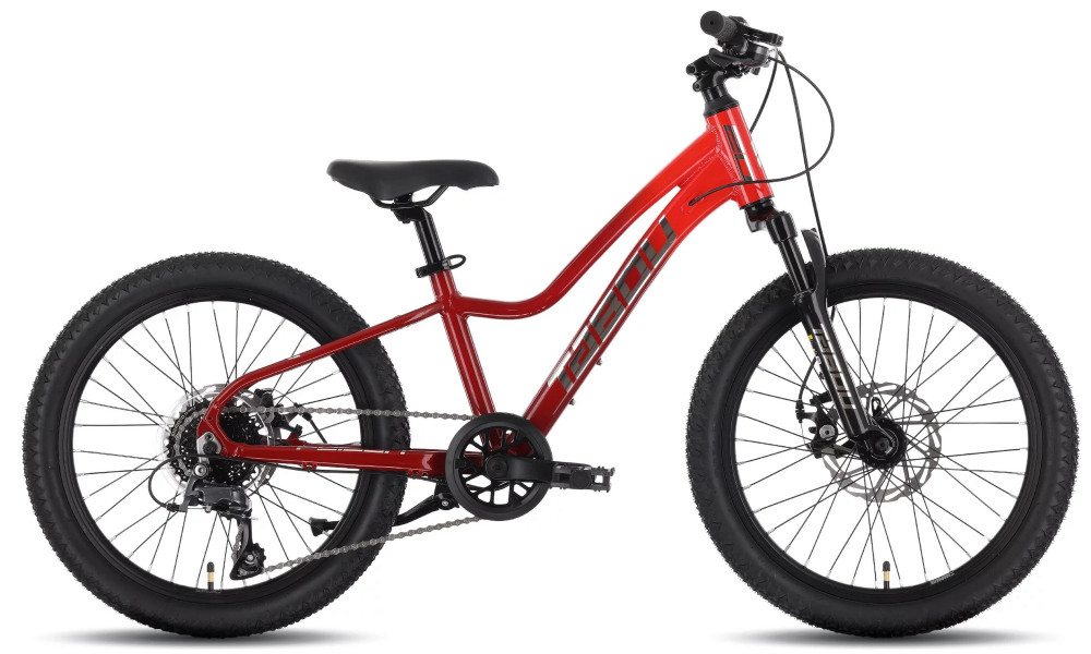 Polkupyörä Tabou Poison 20 Pro burgundy-red 