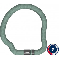 Lukko Abus Goose 6206K/110 mint