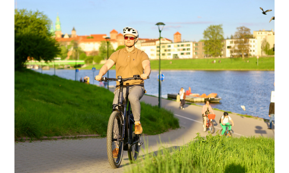 Sähköpyörä Ecobike Dare 900Wh - 7