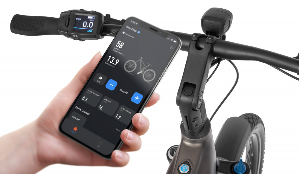 Sähköpyörä Ecobike Dare 900Wh - 19