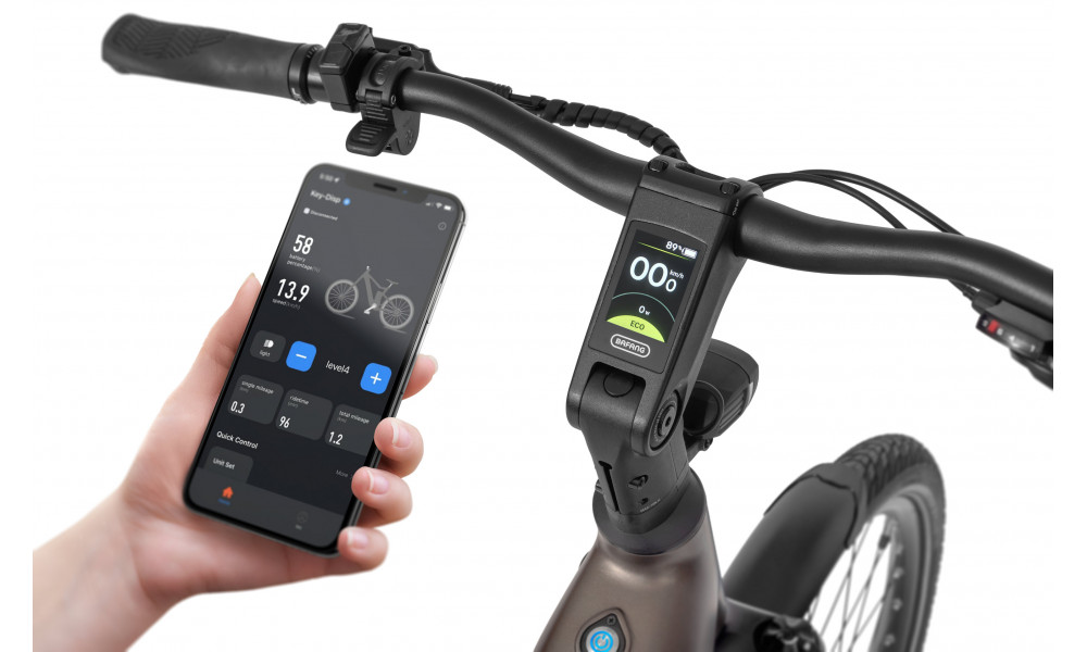 Sähköpyörä Ecobike LX300 Onyx V3 900Wh - 4