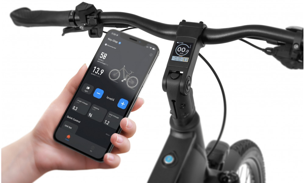 Sähköpyörä Ecobike LX500 Graphite 720Wh - 11