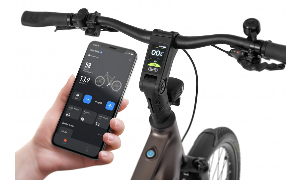 Sähköpyörä Ecobike MX300 Golden Grey 900Wh - 2