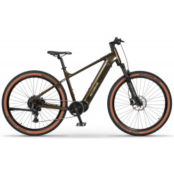 Sähköpyörä Ecobike SX300 Green V2 900Wh