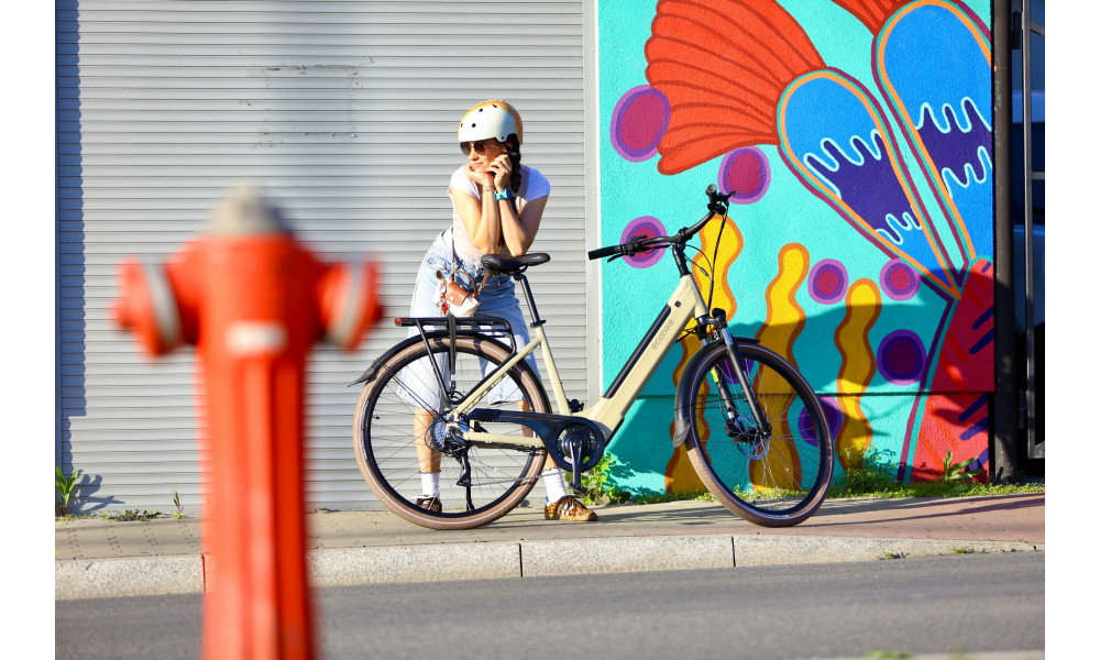 Sähköpyörä Ecobike X-City Cappuccino V3 504Wh - 5