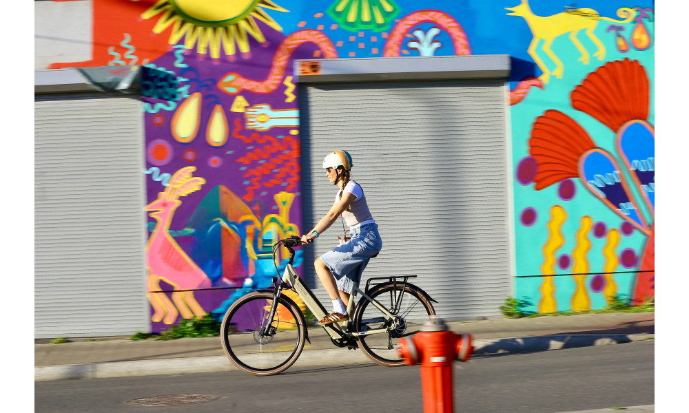 Sähköpyörä Ecobike X-City Cappuccino V3 504Wh - 7