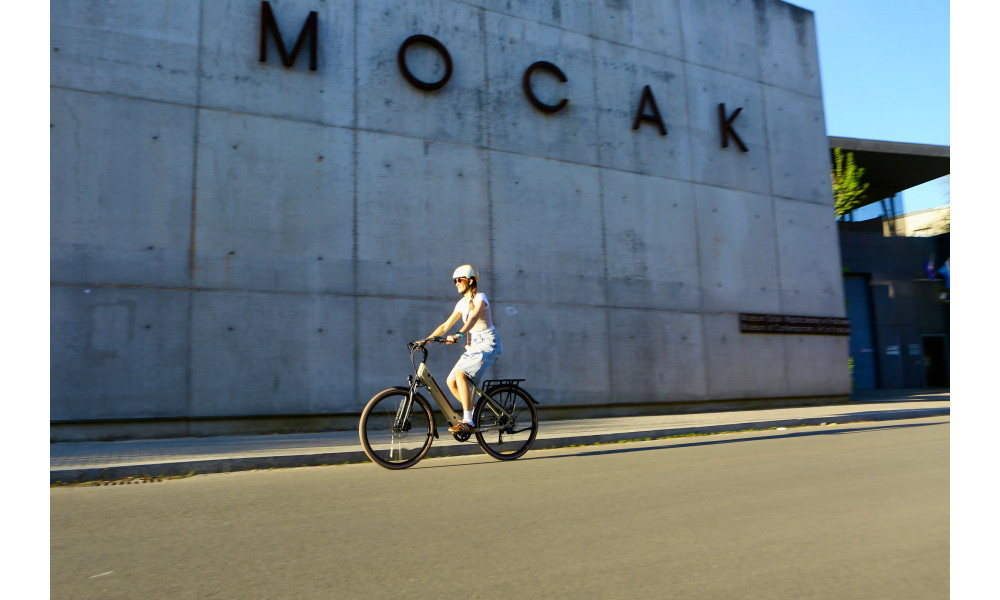 Sähköpyörä Ecobike X-City Cappuccino V3 504Wh - 9