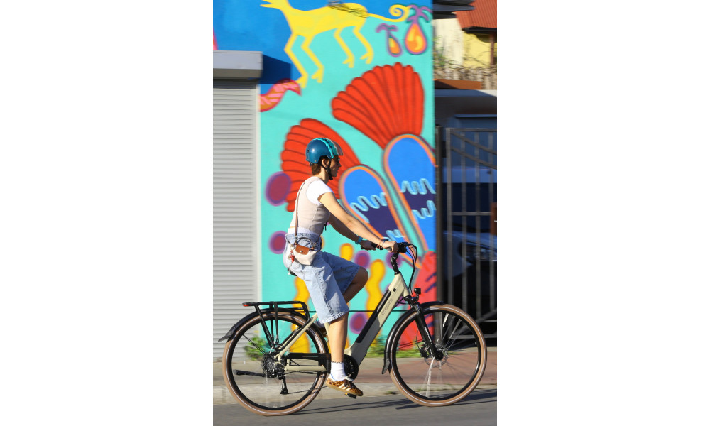 Sähköpyörä Ecobike X-City Cappuccino V3 630Wh - 3