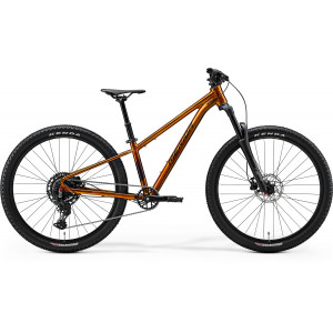 Polkupyörä Merida Matts J.Champion III2 2026 wild honey(black)