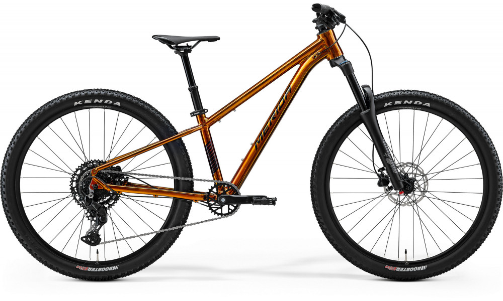 Polkupyörä Merida Matts J.Champion III2 2026 wild honey(black) 