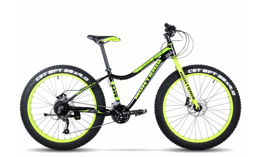 Dviratis Monteria FAT BIKE 1.0 green 2016 - 2