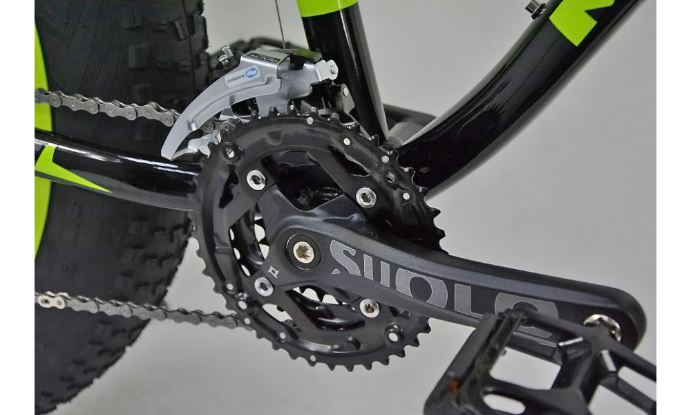 Dviratis Monteria FAT BIKE 1.0 green 2016 - 3