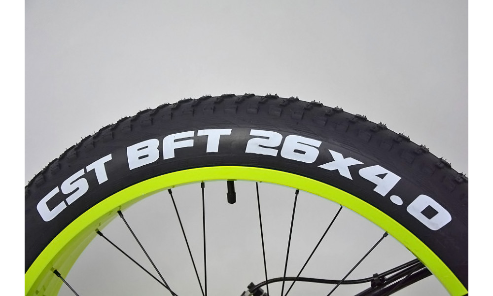 Dviratis Monteria FAT BIKE 1.0 green 2016 - 7
