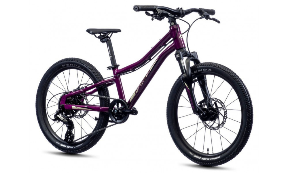 Polkupyörä Merida MATTS J.20 purple - 1