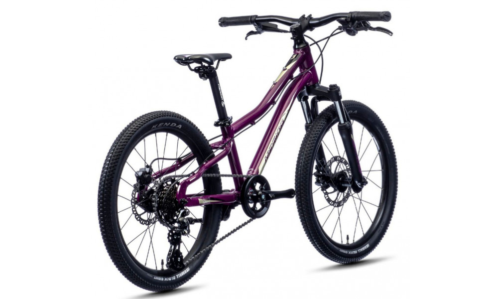 Polkupyörä Merida MATTS J.20 purple - 5
