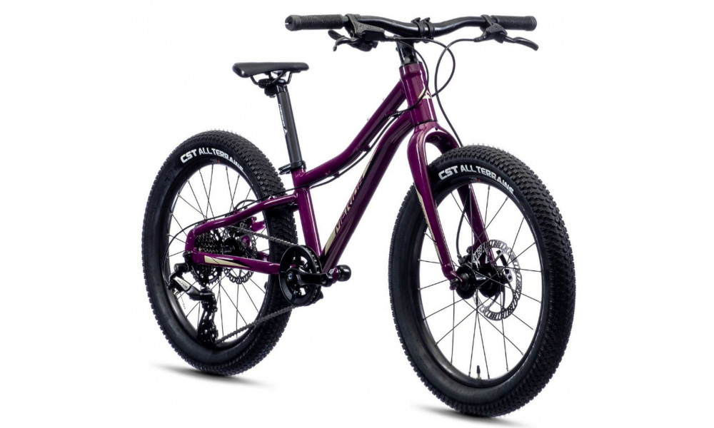 Polkupyörä Merida MATTS J.20+ purple - 1