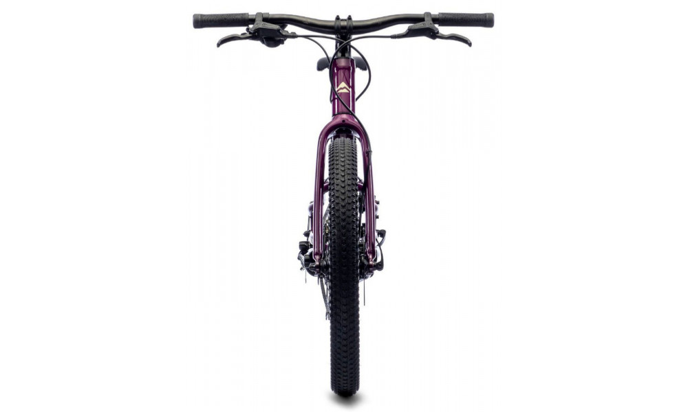 Polkupyörä Merida MATTS J.20+ purple - 2