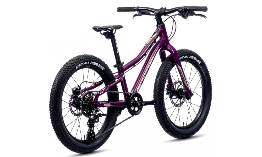 Polkupyörä Merida MATTS J.20+ purple - 4