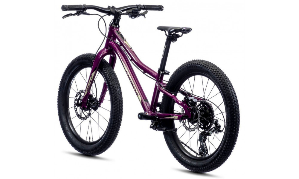 Polkupyörä Merida MATTS J.20+ purple - 5