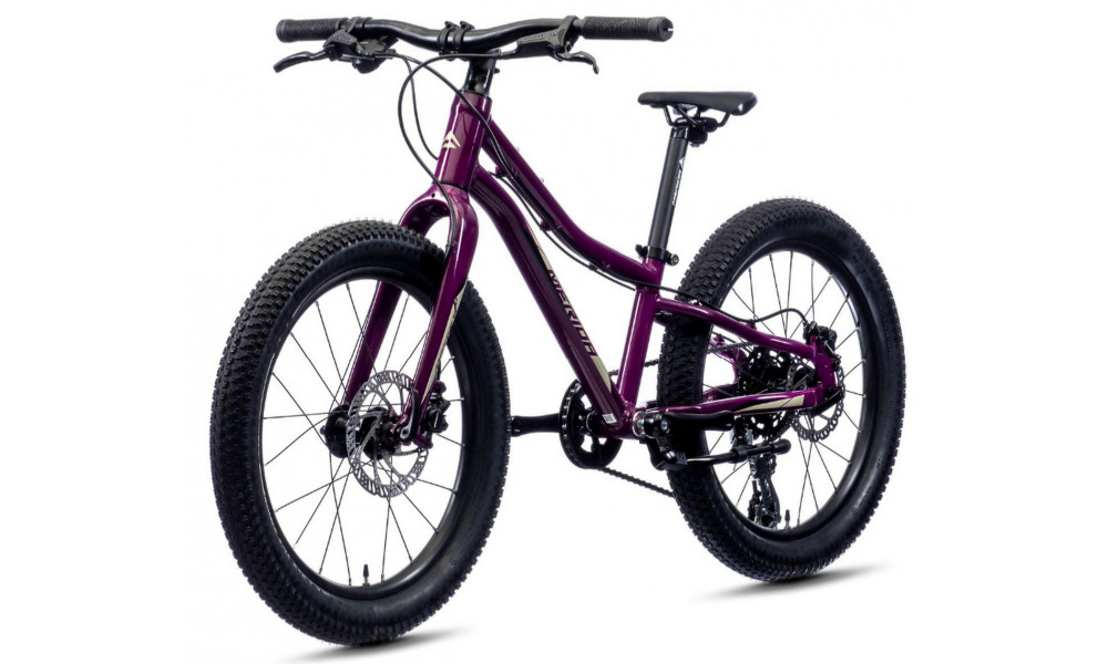Polkupyörä Merida MATTS J.20+ purple - 6