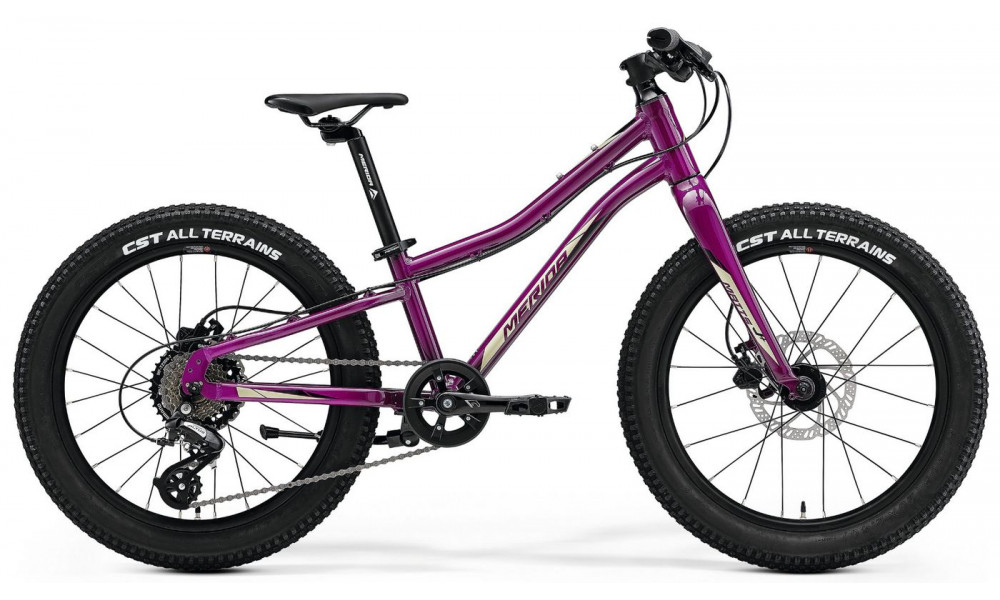 Polkupyörä Merida MATTS J.20+ purple - 7