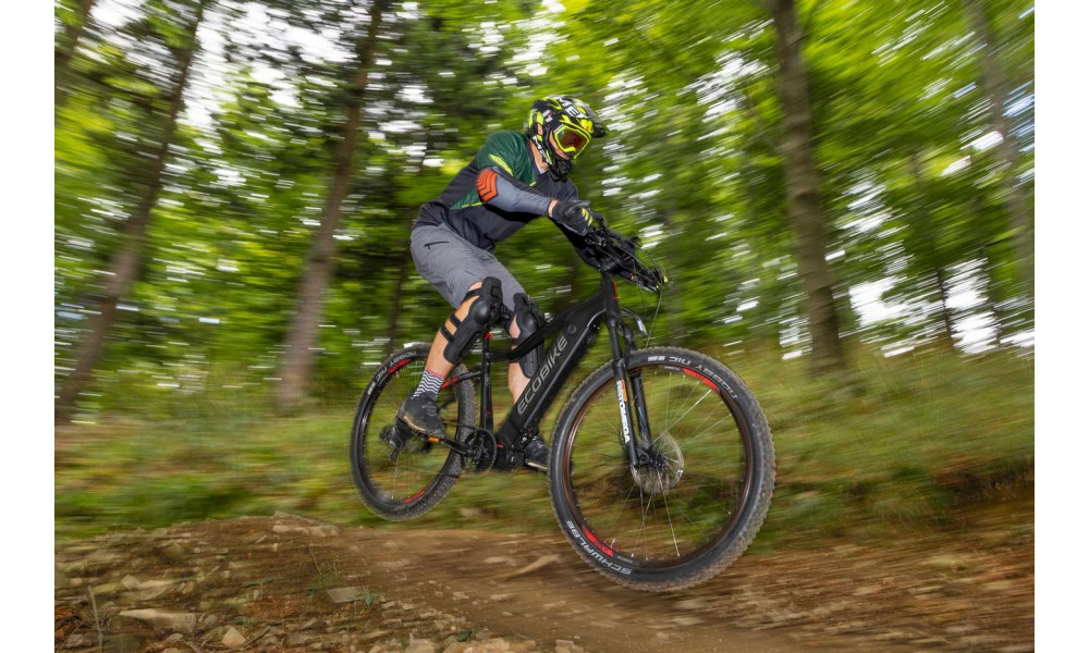 Sähköpyörä Ecobike RX 500 29" 48V - 11