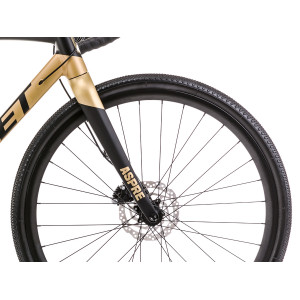 Polkupyörä Romet Aspre 2 LTD 2023 black-gold