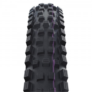 Rengas 29" Schwalbe Magic Mary HS 447 Evo Fold TLE 62-622 / 29x2.40 Gravity Addix UltraSoft
