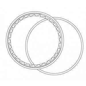 Takanavan osa Fulcrum ratchet ring MTB (3 kpl.)